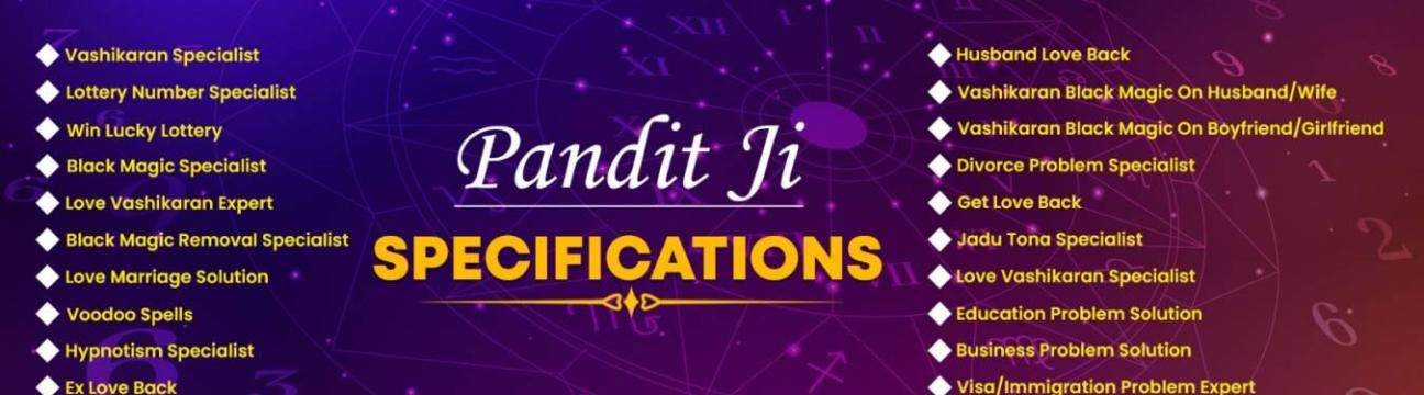 Top Astrologer India