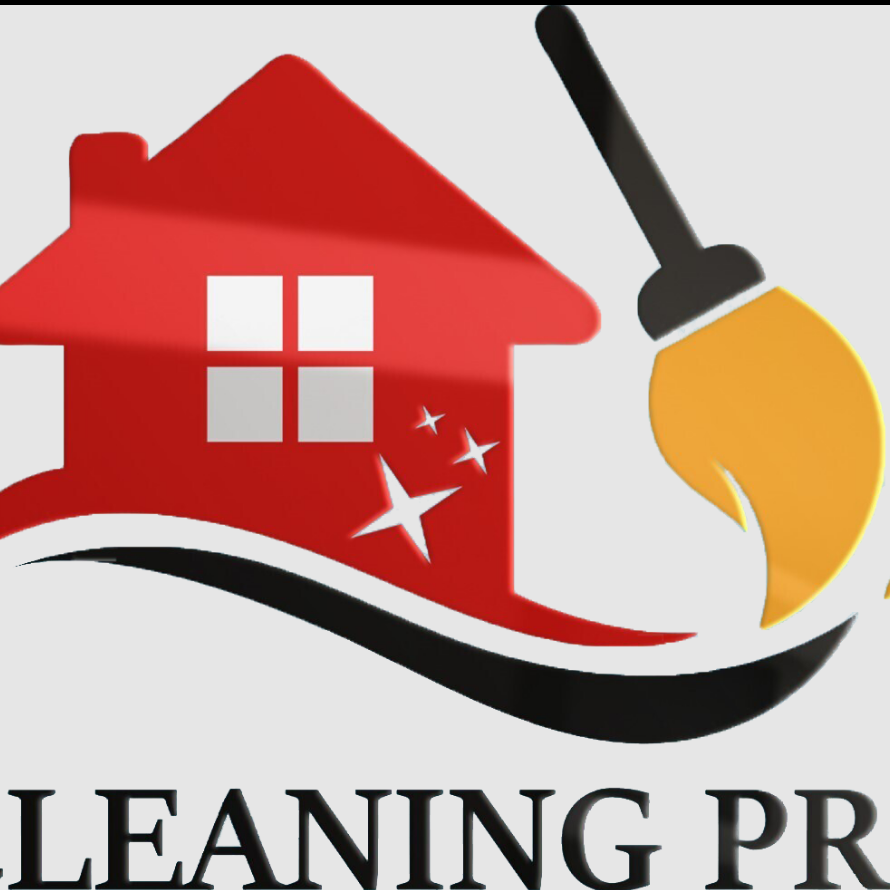 Pro  Cleaning1