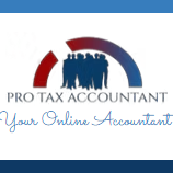 Pro Tax Accountant